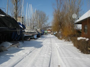 100_7956