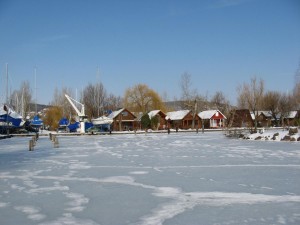100_7958
