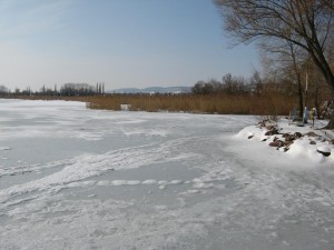 100_7963